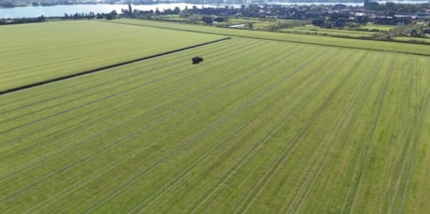 Bekijk foto 4 van Vriezenweg