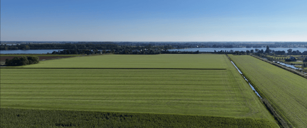 Bekijk foto 3 van Vriezenweg