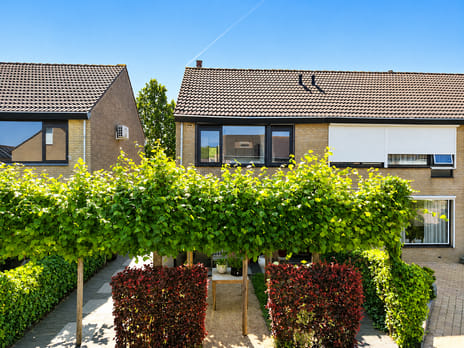 Brielsestraat thumbnail