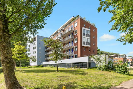 Zuiderzeepark thumbnail