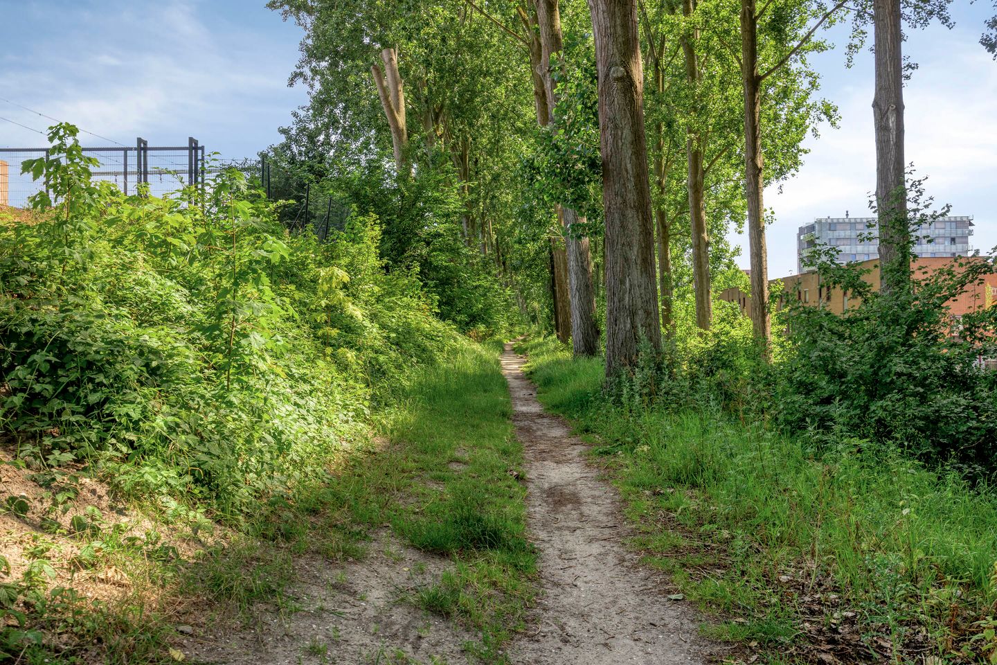 Photo 29 of Jacques Veltmanstraat 15