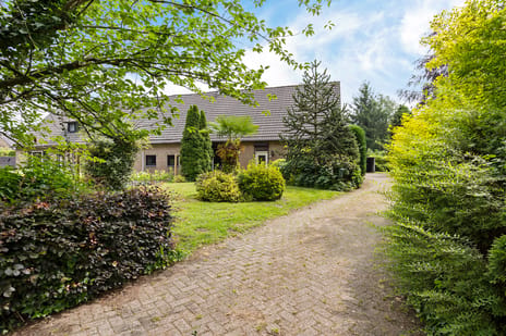 Beukelaarstraat thumbnail
