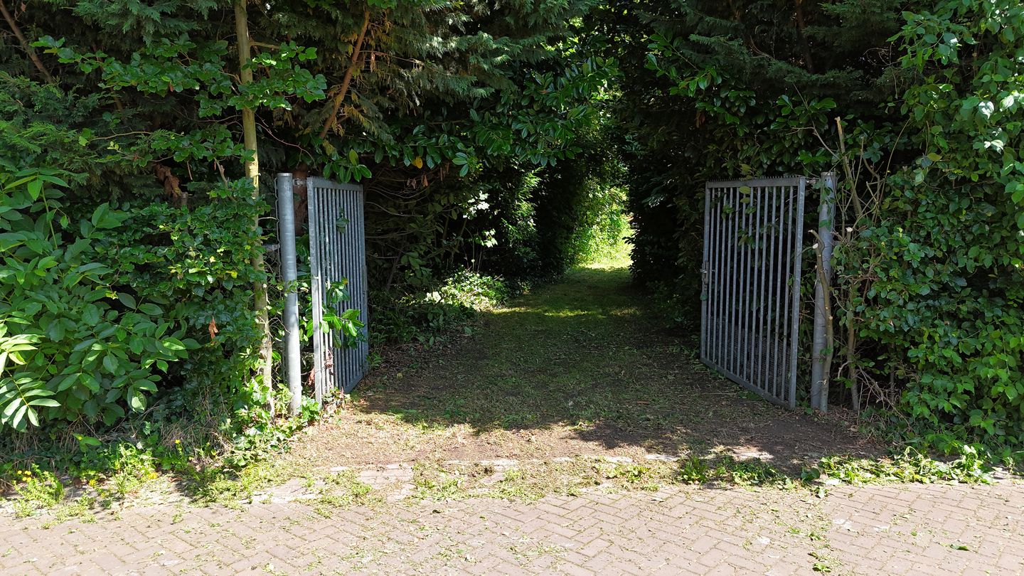 Photo 14 of Beukelaarstraat 5-A