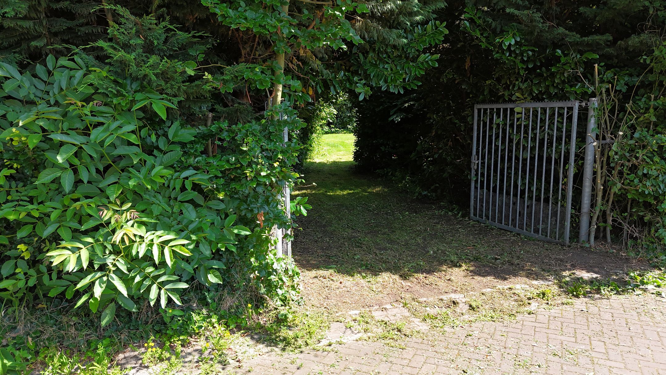 Photo 15 of Beukelaarstraat 5-A
