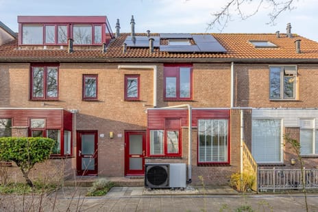 Haviksingel thumbnail