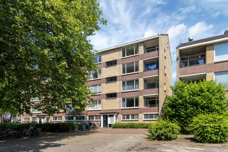 Dommelstraat thumbnail