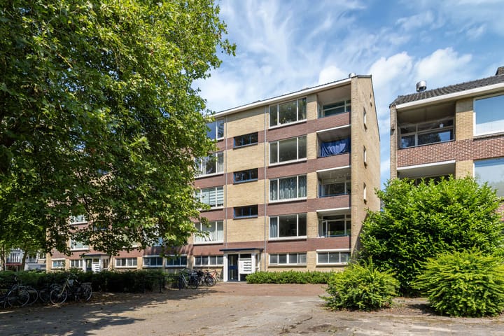 Dommelstraat 84