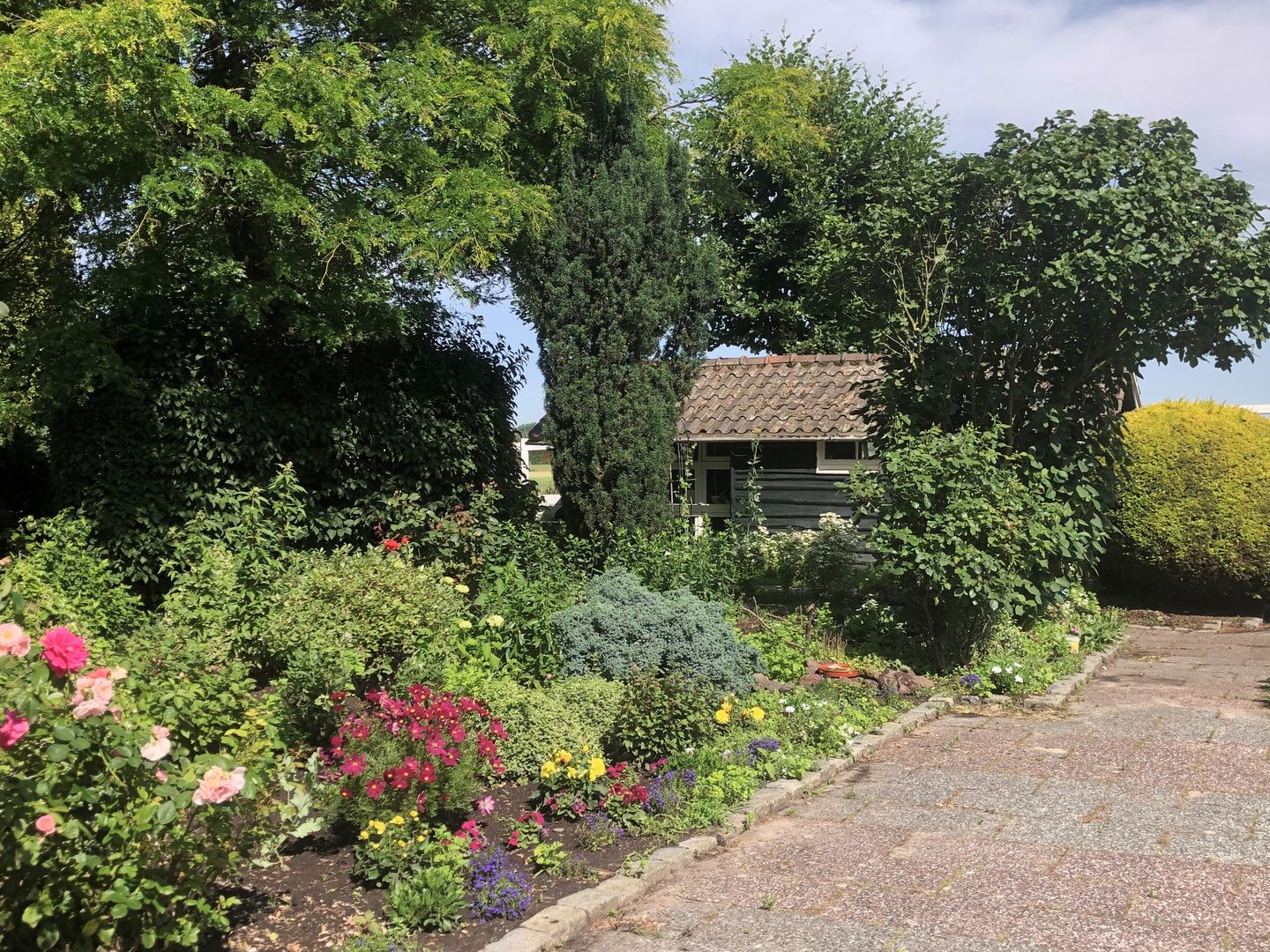 Foto 19 van Maassluiseweg 17