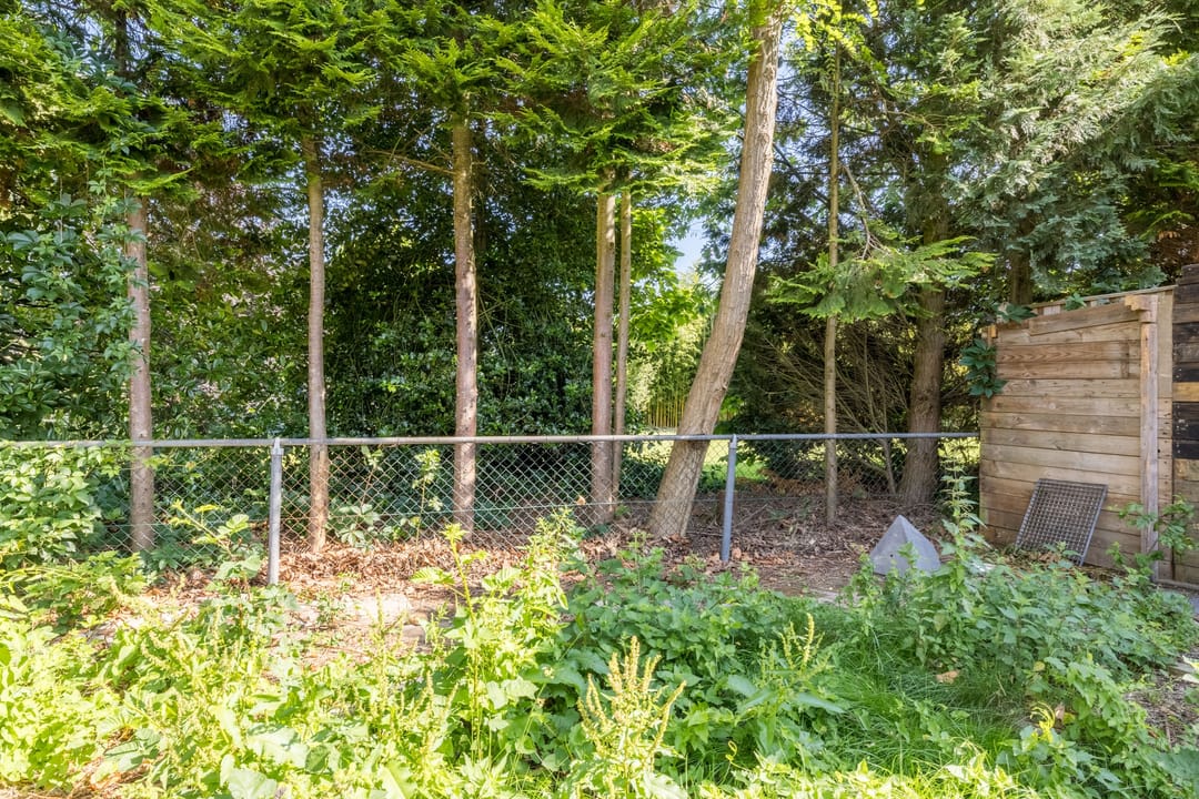 Photo 37 of Kwartelhoek 12