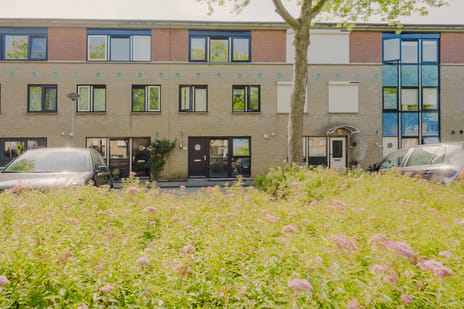 Else van der Banstraat thumbnail