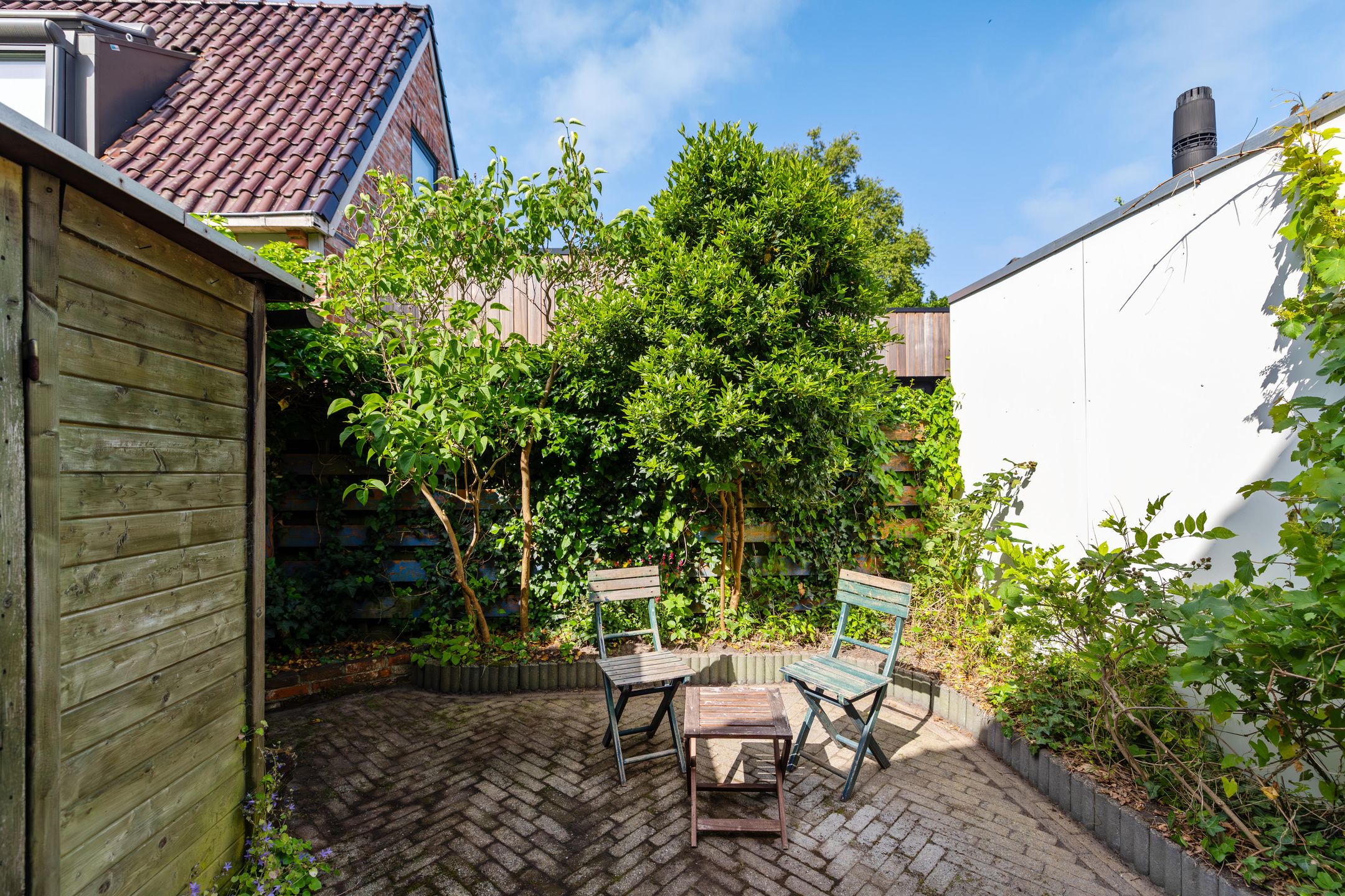 Photo 3 of Selwerderstraat 6