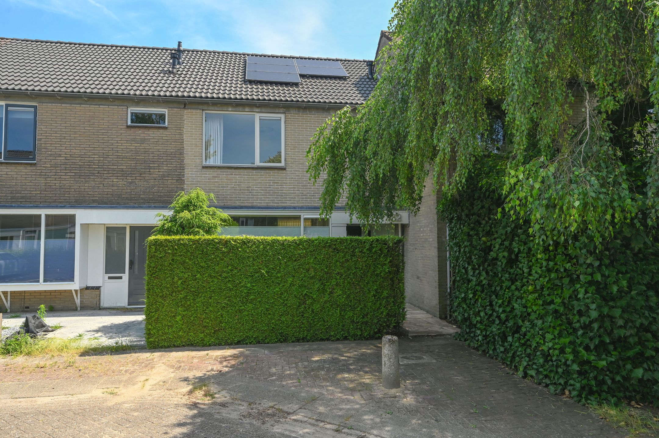 Scholekster 32 