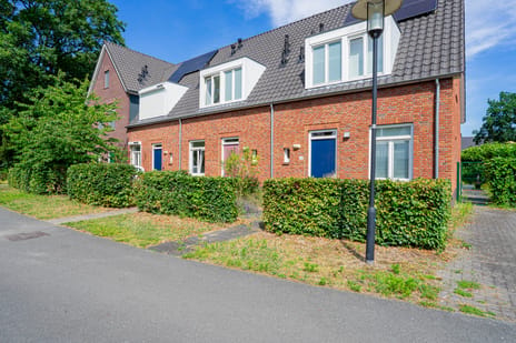 Cederstraat thumbnail