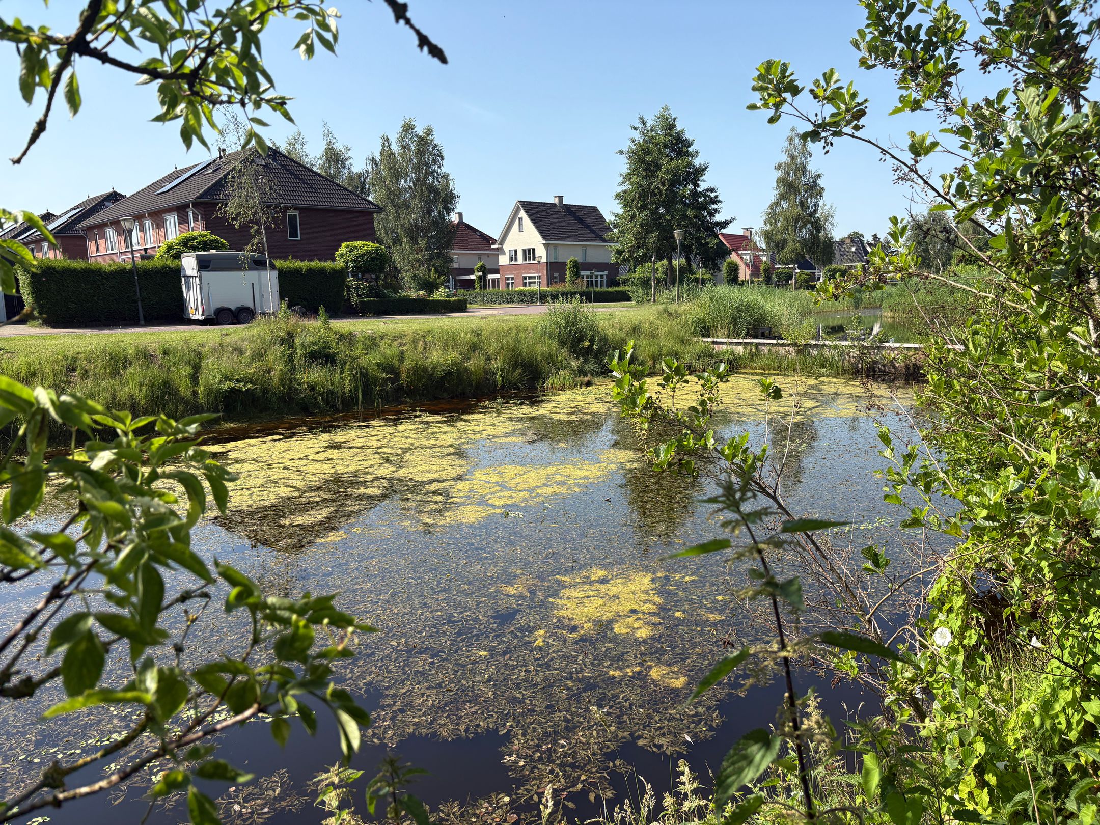Photo 6 of Roomsterweg 12-A