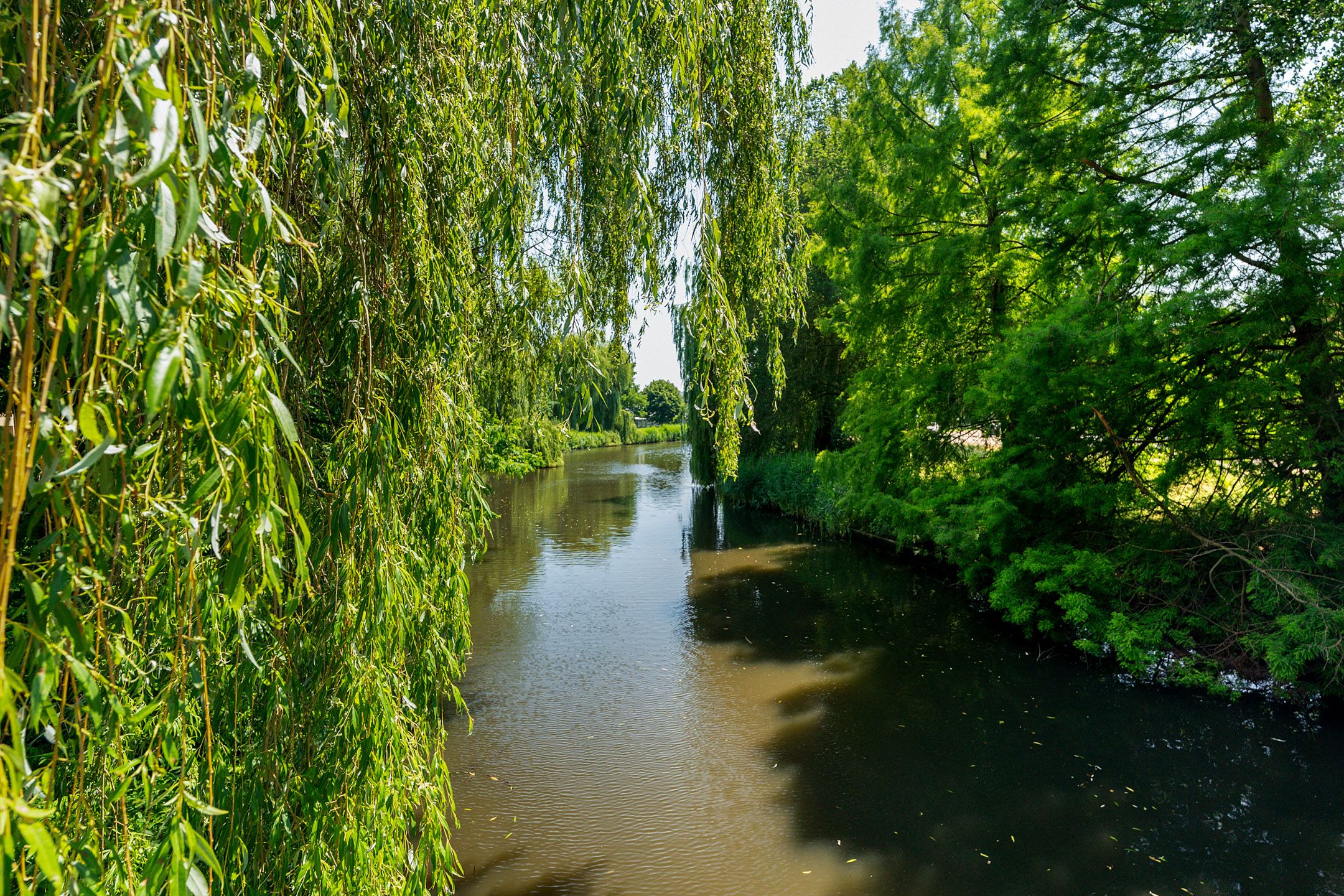 Photo 39 of Rudolf Nureyevstraat 111
