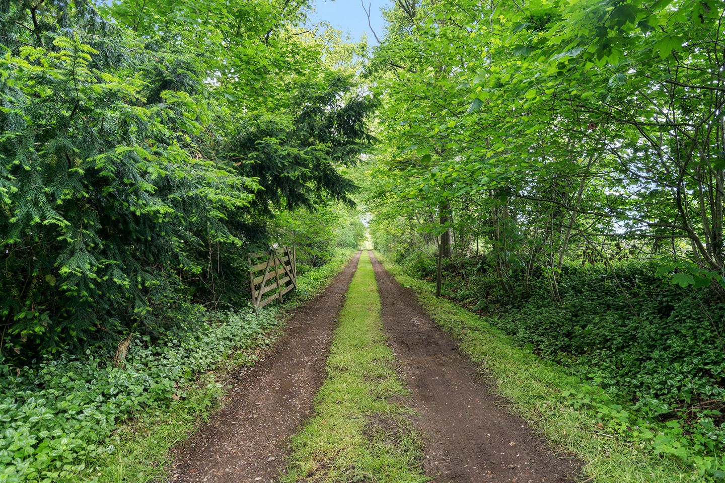 Foto 4 van Binnenweg 39
