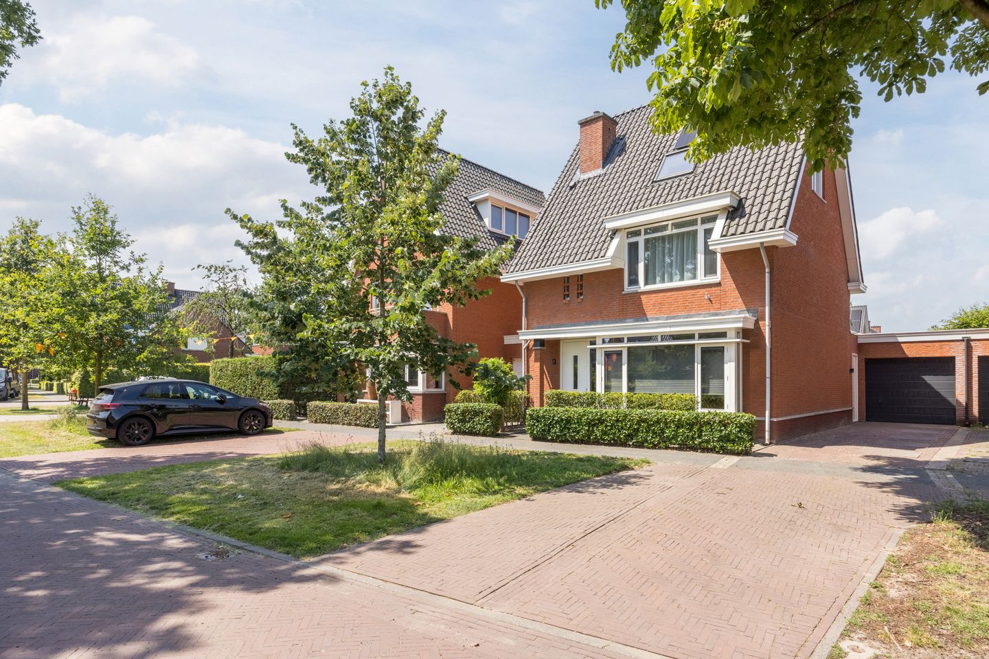 Foto 1 van Hopvlinder 6