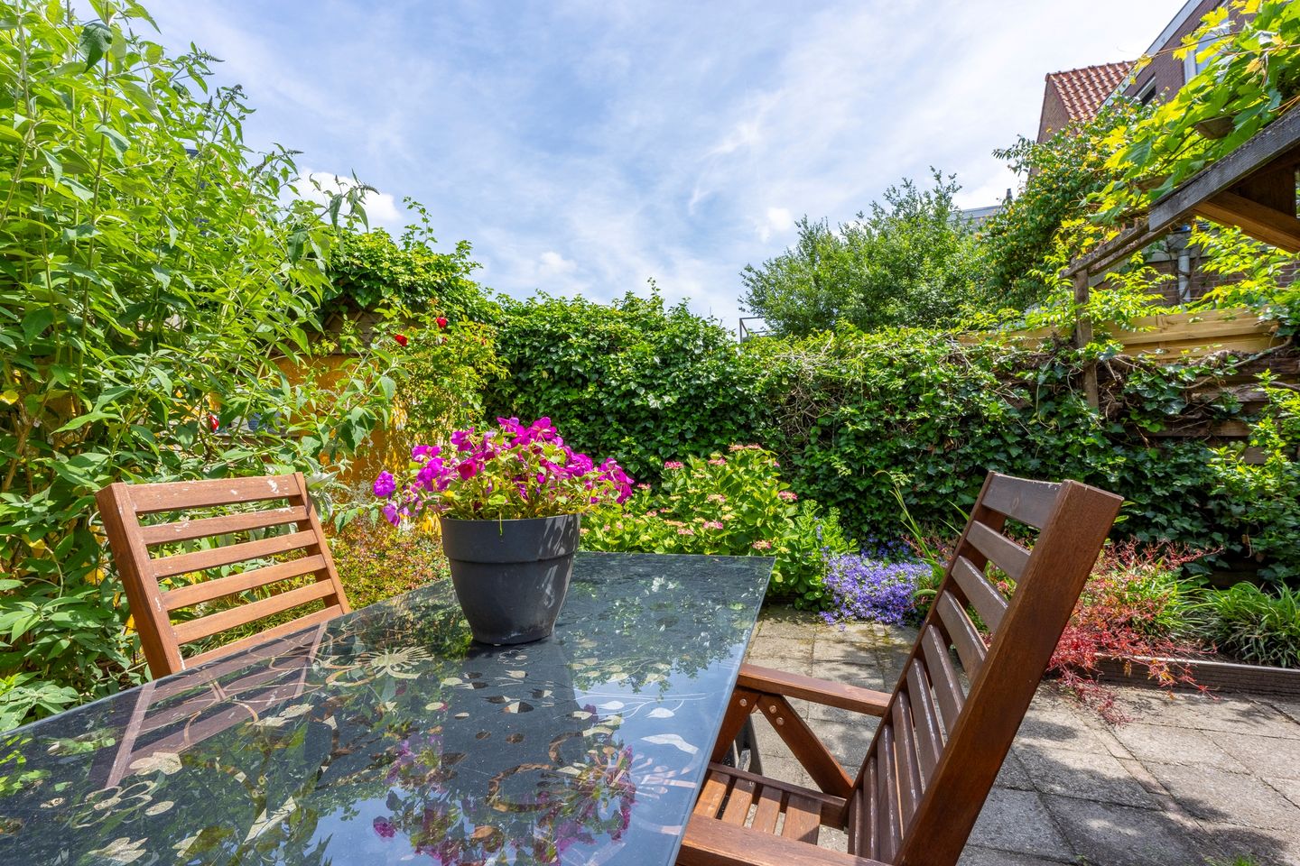 Foto 20 van Laan van Nieuw-Guinea 131