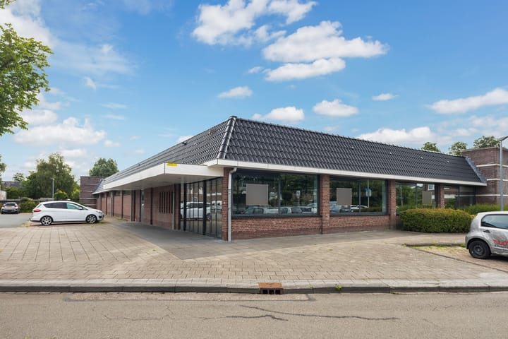 Stinzenflora 161, Leeuwarden