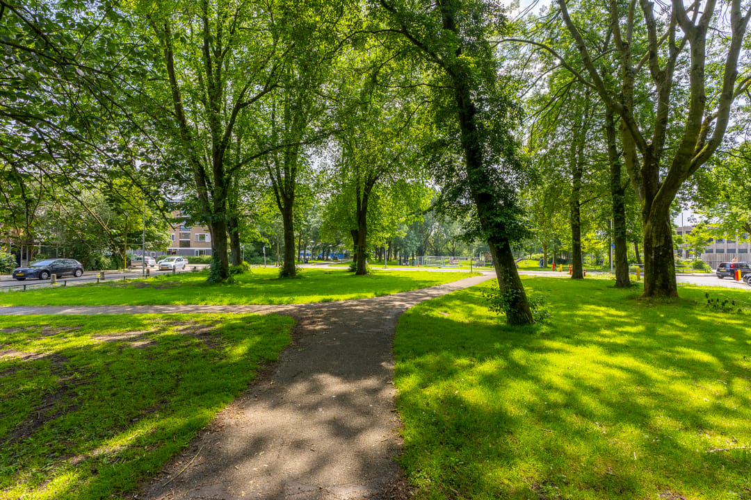 Foto 41 van Oberondreef 10