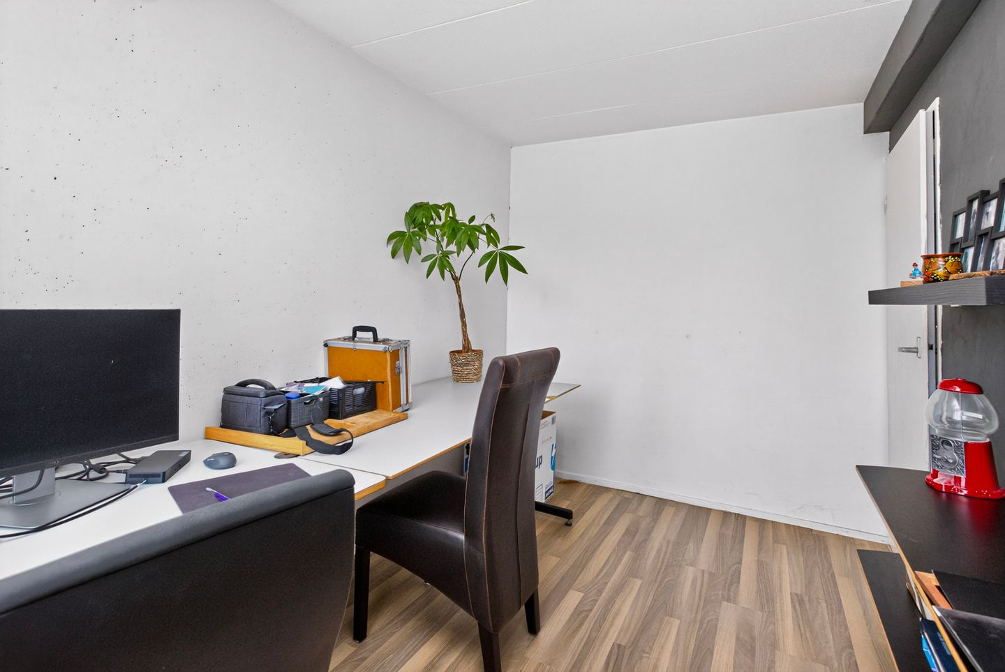 Photo 20 of Antilopespoor 377