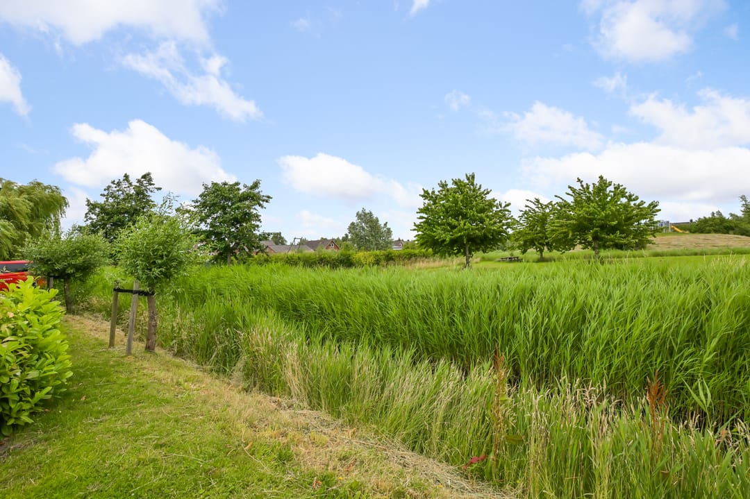 Photo 22 of Ambachtshof 16