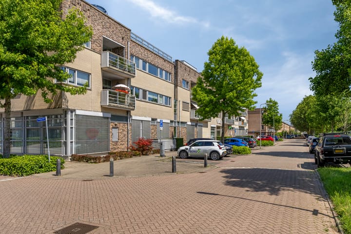 Foto 4 van Dotterbloem 43