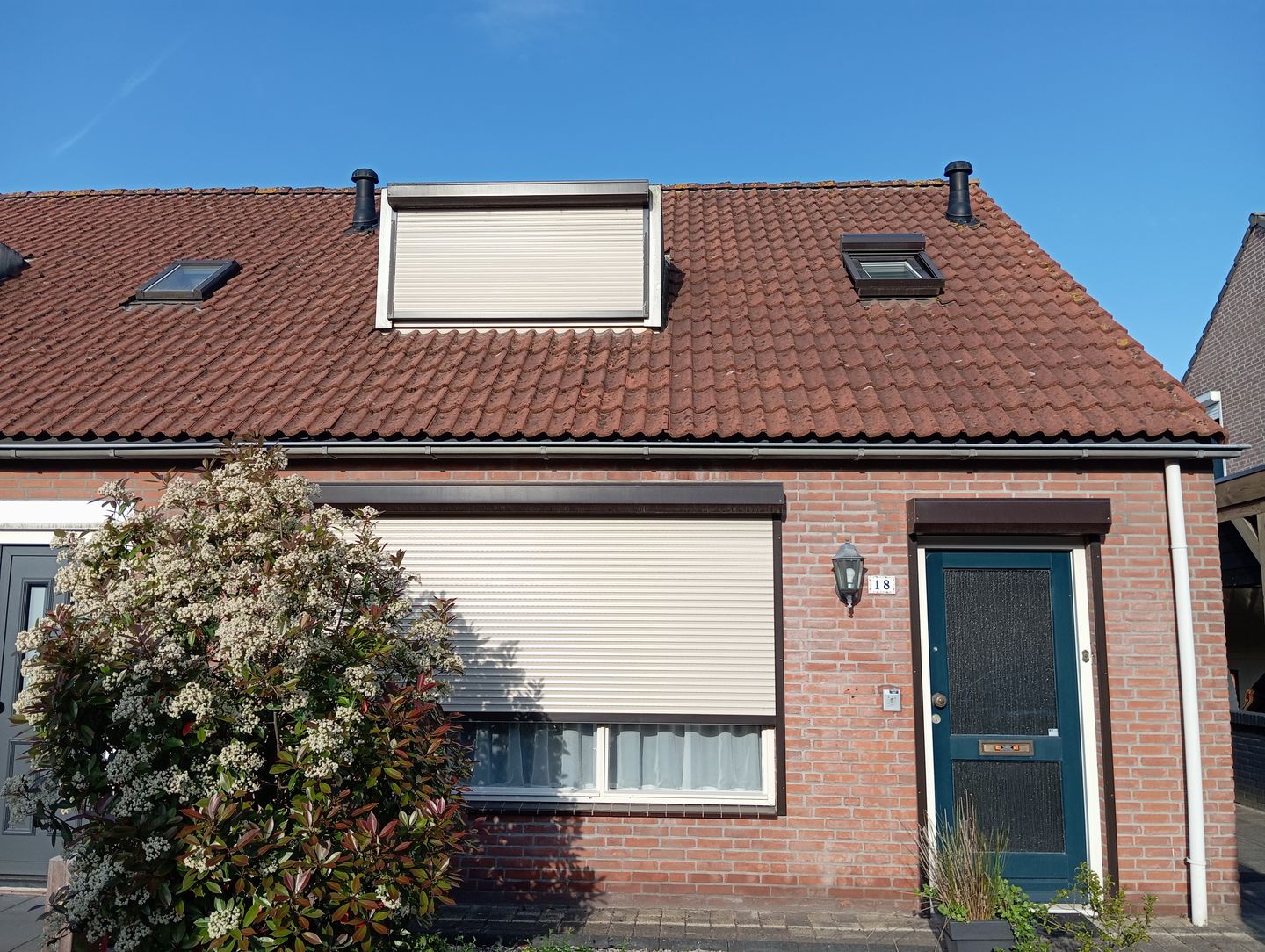 Foto 1 van Wilgenrijs 18