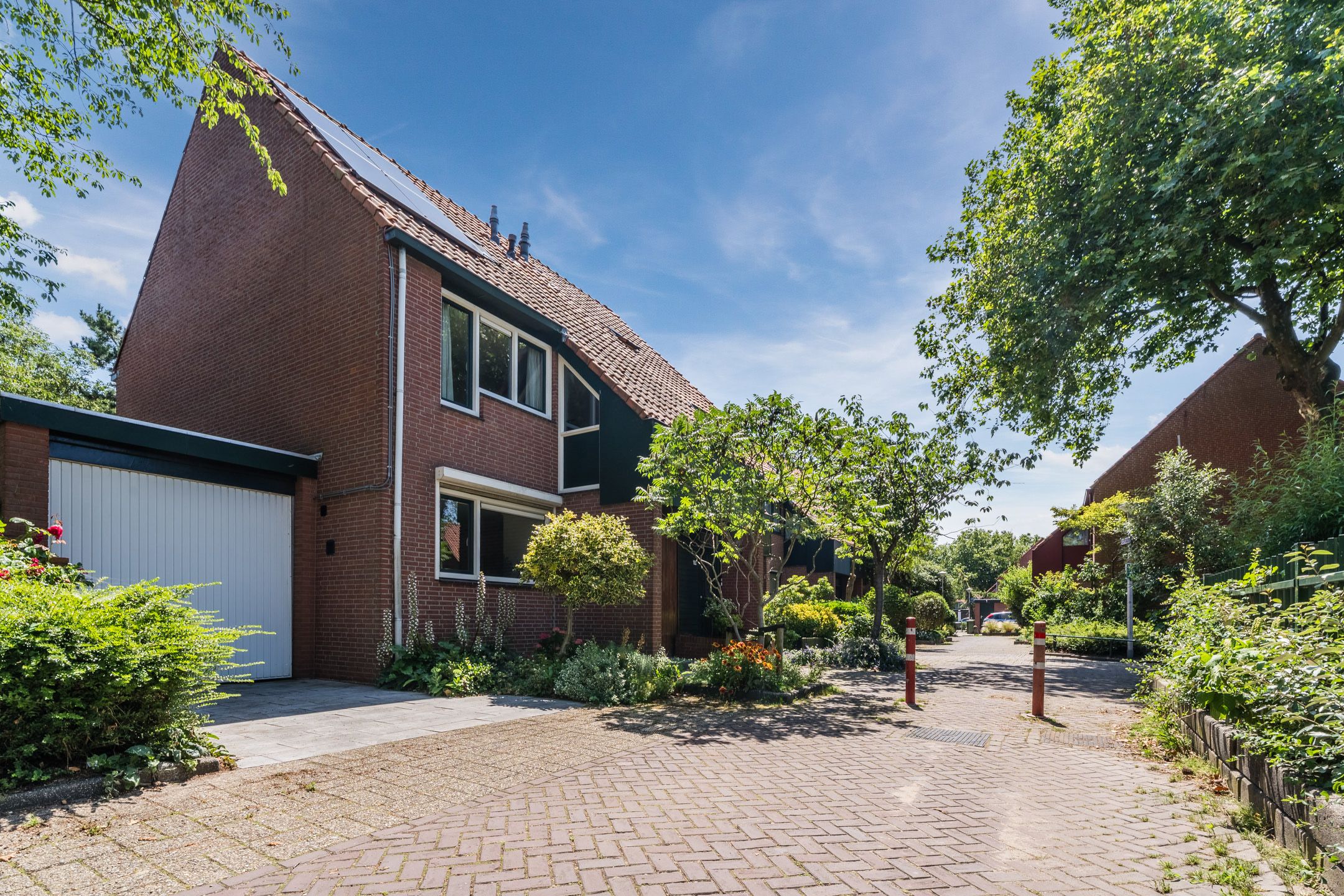 Boterbloem 36 