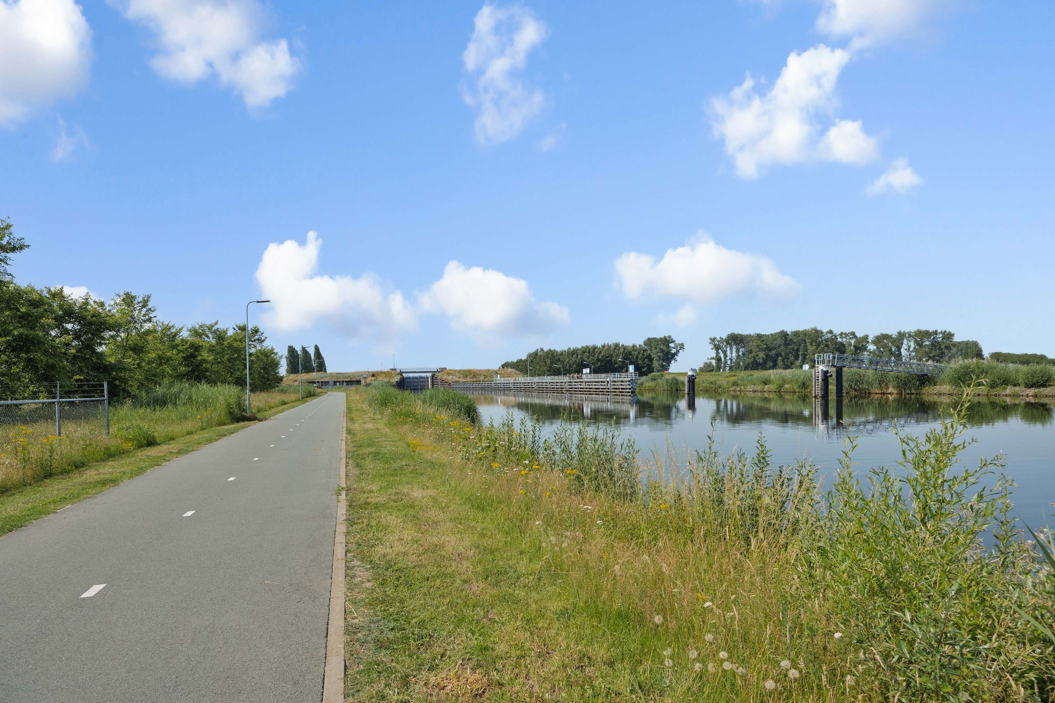 Foto 42 van Berenklauw 33