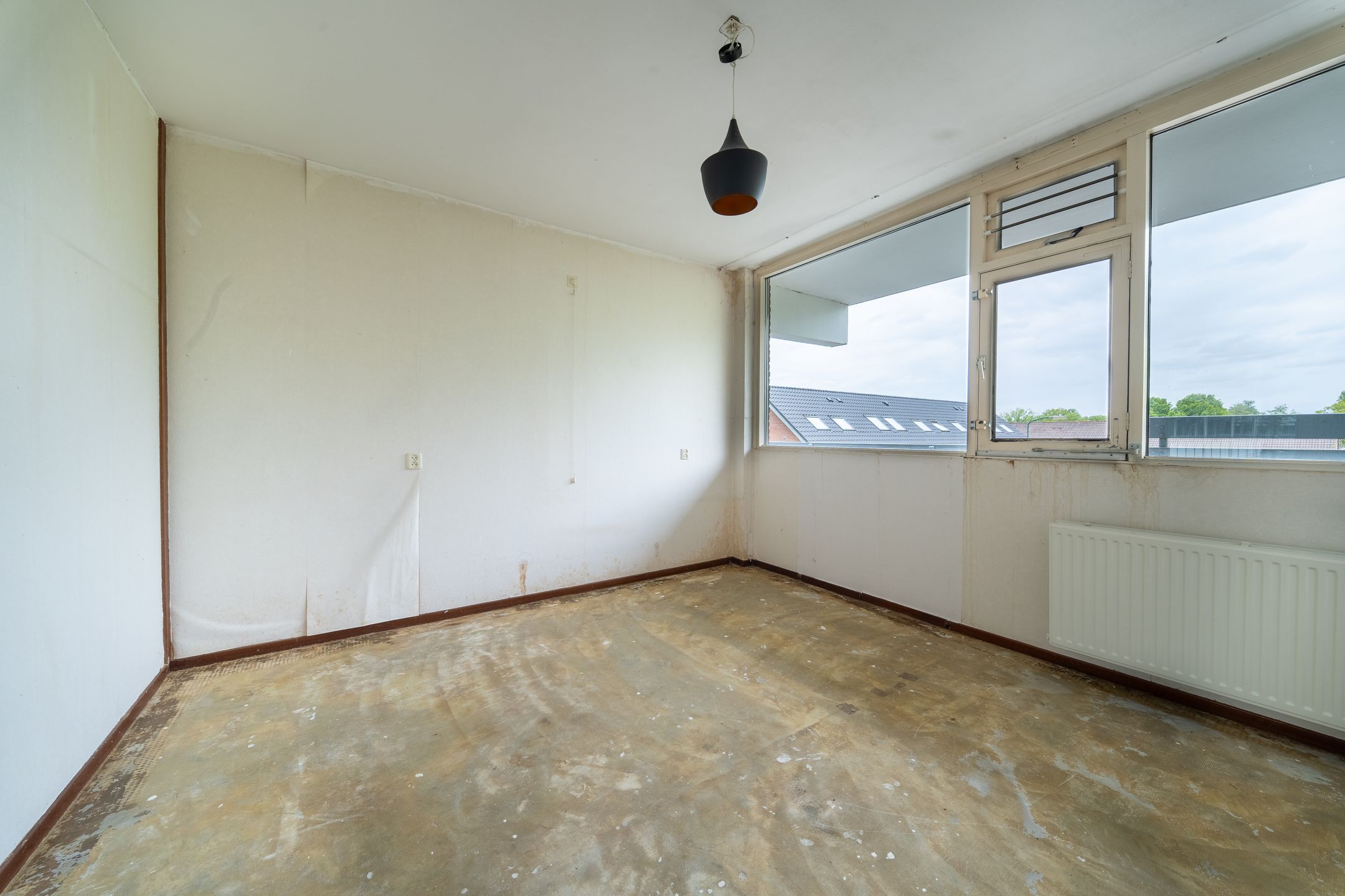 Foto 12 van Pollux 339