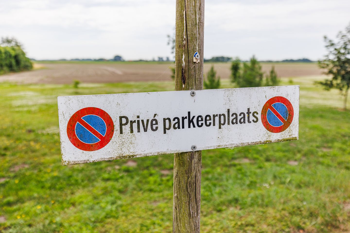 Foto 49 van Pelsendijk 13