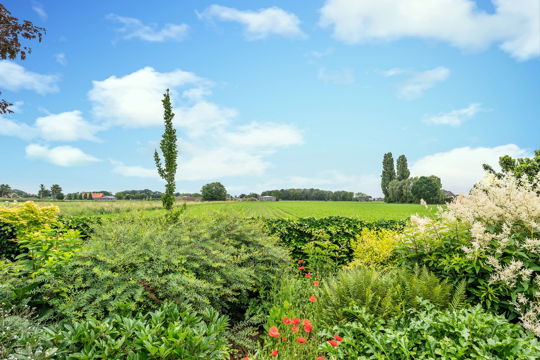 Photo 51 of Vuurlinie 6-A