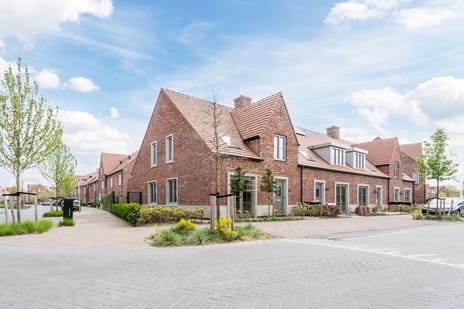 Notenhout thumbnail