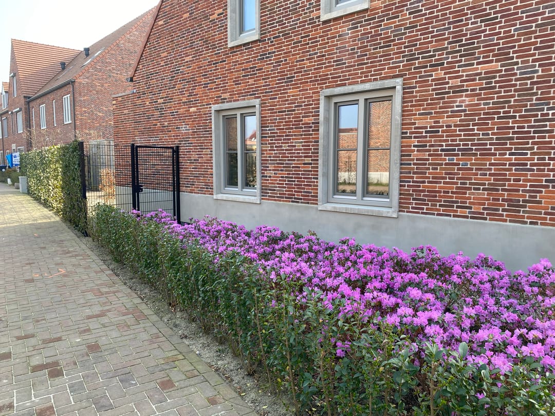 Foto 37 van Notenhout 47