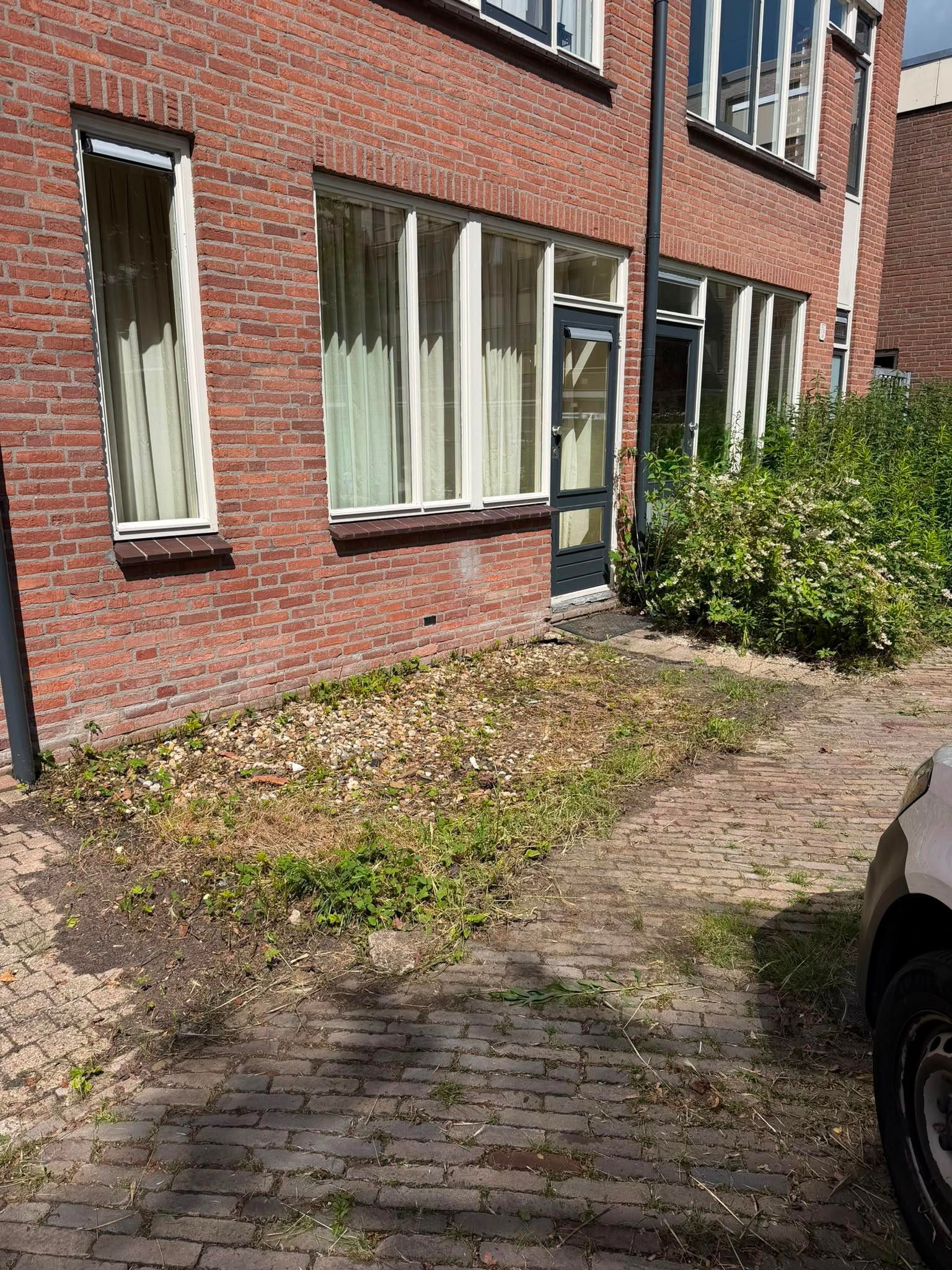 Photo 3 of Pietersburen 13