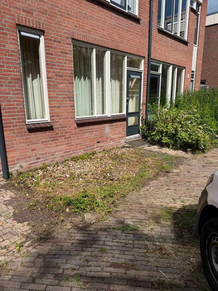 Foto 3 van Pietersburen 13