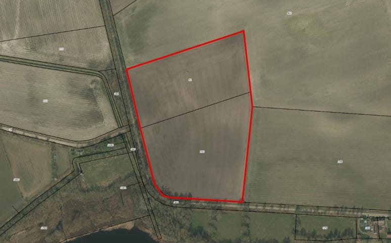 Visdijk - Nederweert-Eind - Afbeelding 1