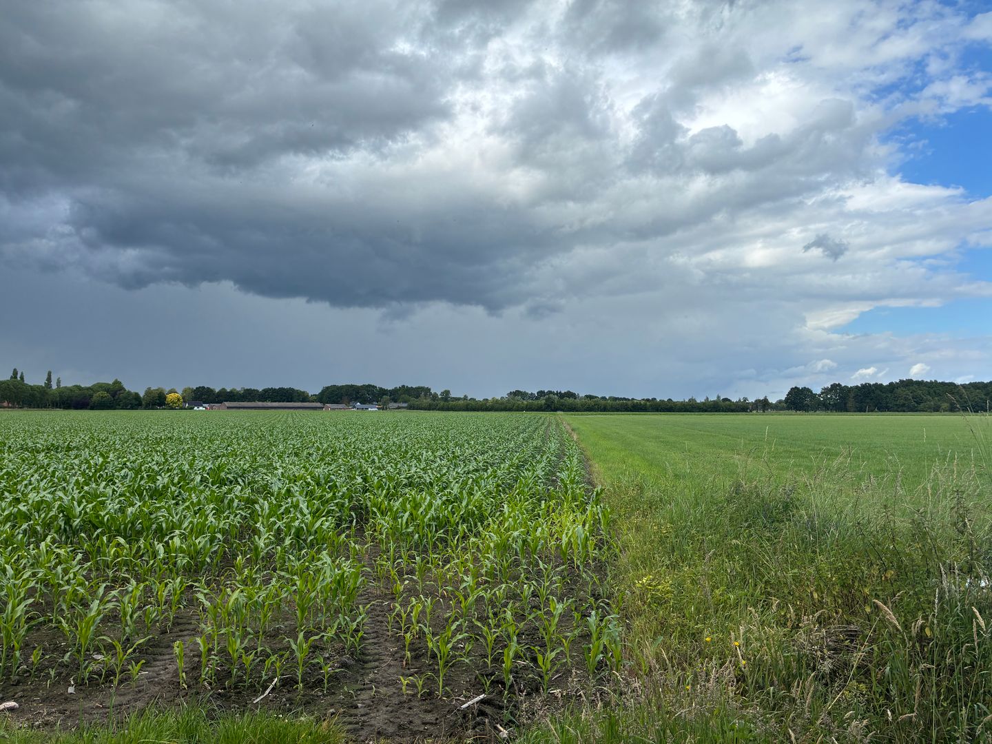 Visdijk - Nederweert-Eind - Afbeelding 3