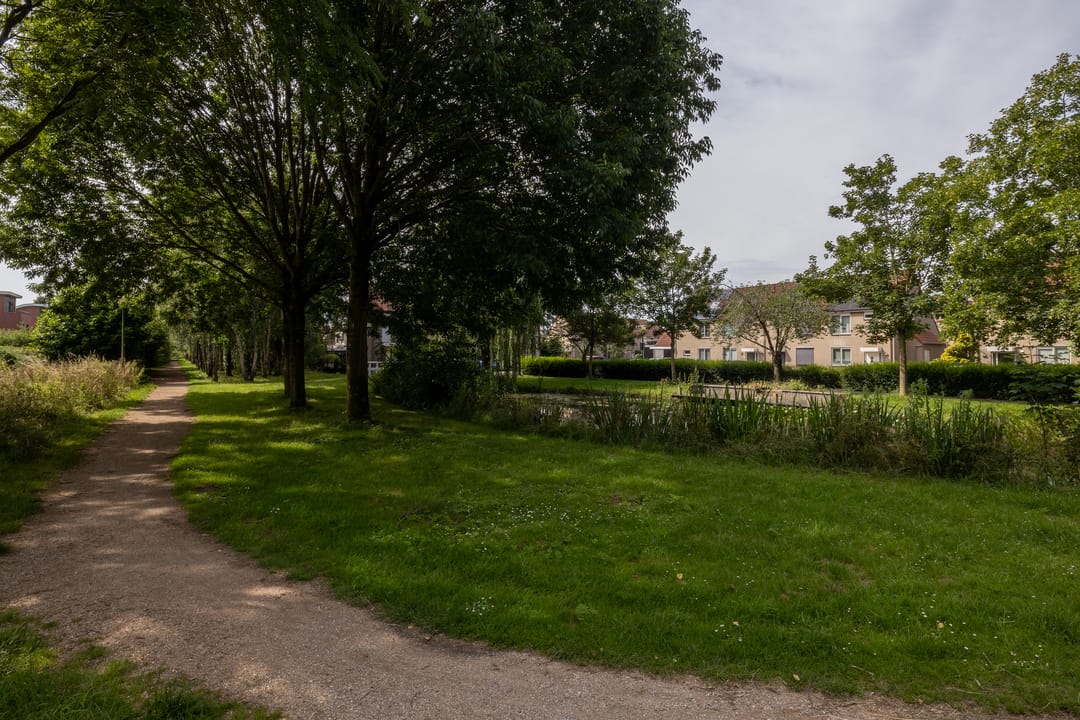 Photo 7 of Esdoornstraat 49