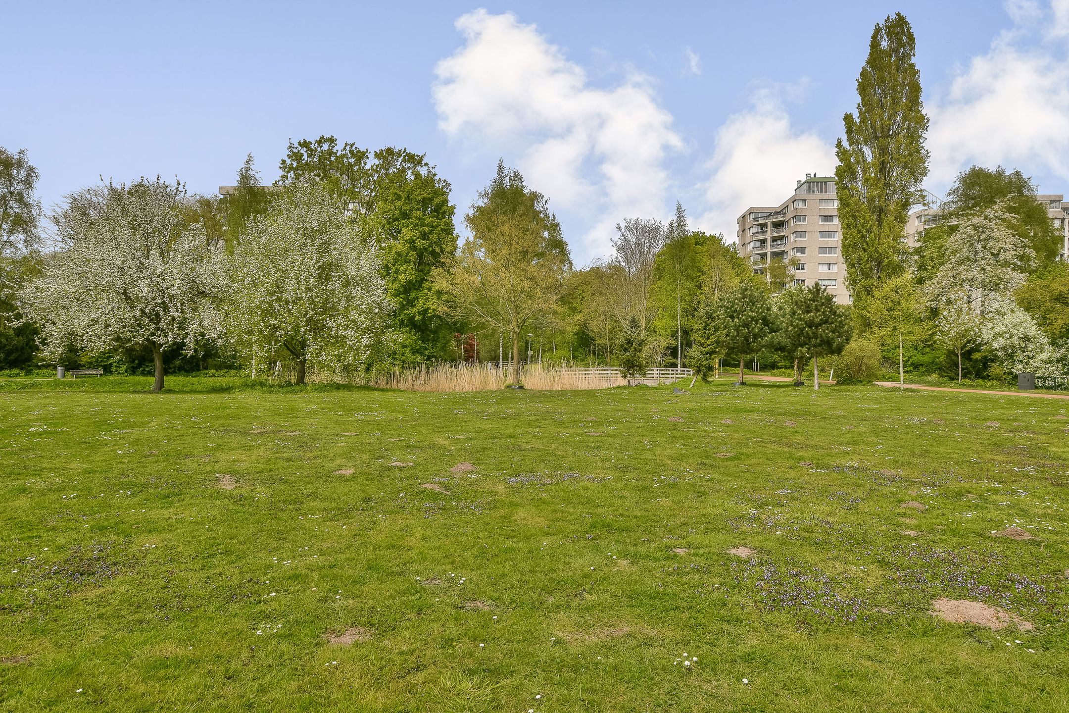 Photo 18 of Groenhoven 346