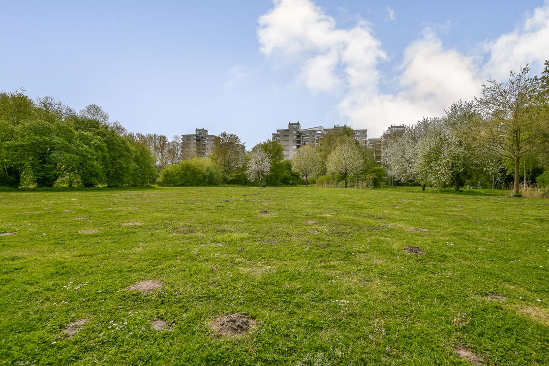 Photo 17 of Groenhoven 346