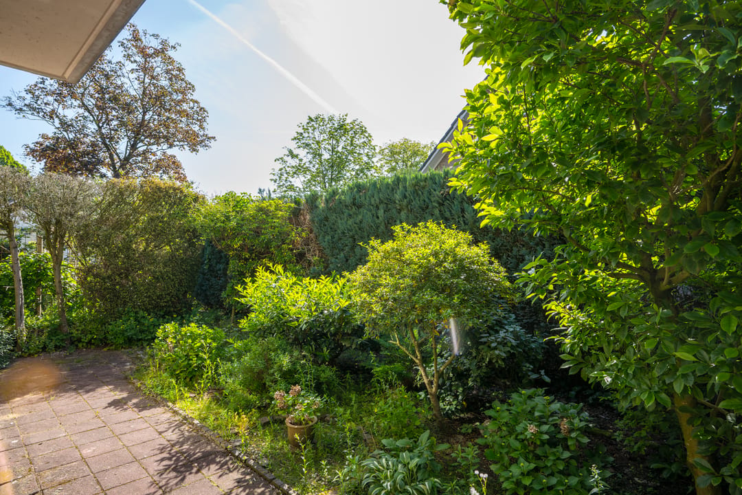 Photo 37 of Prins Hendriklaan 7