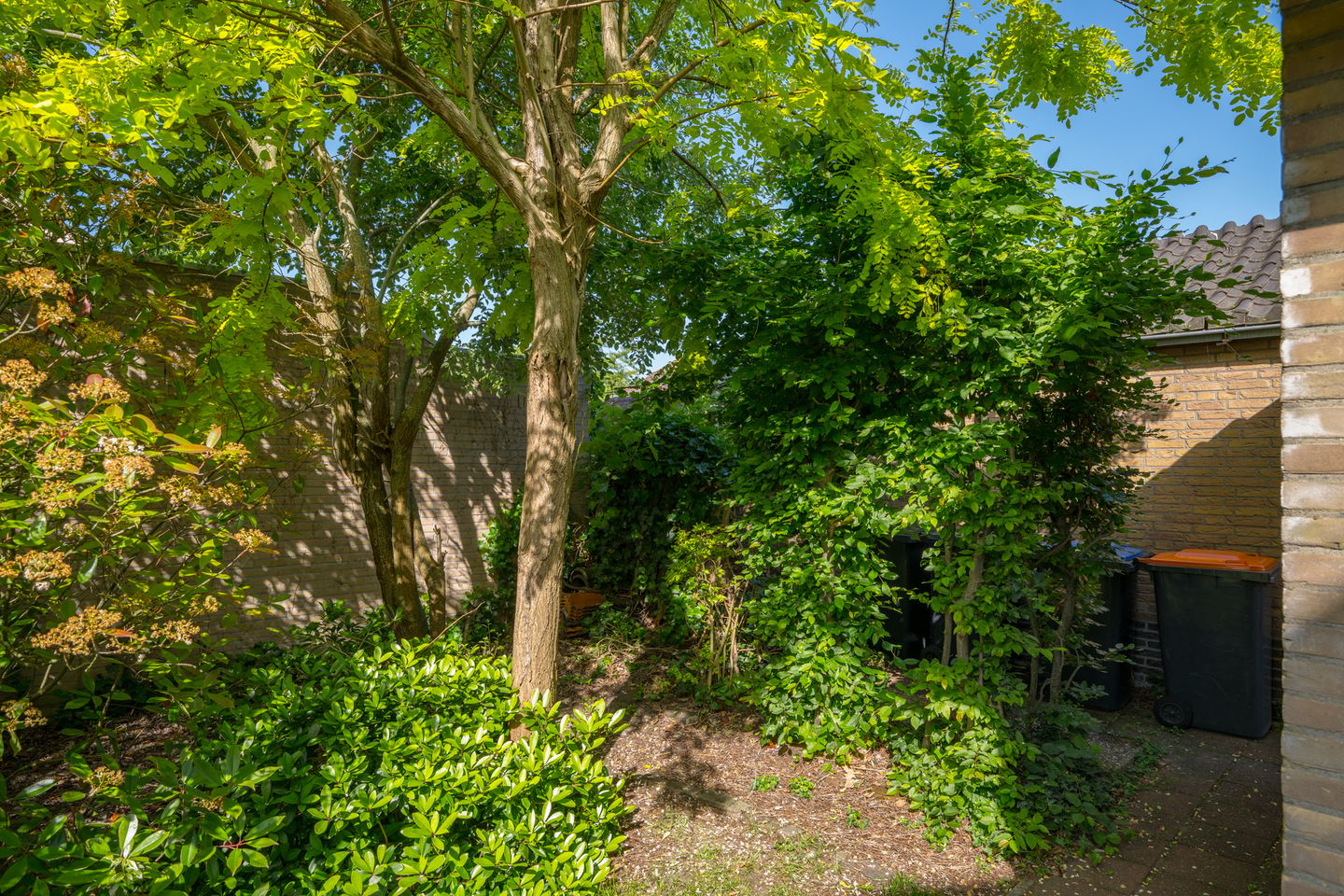 Photo 34 of Prins Hendriklaan 7