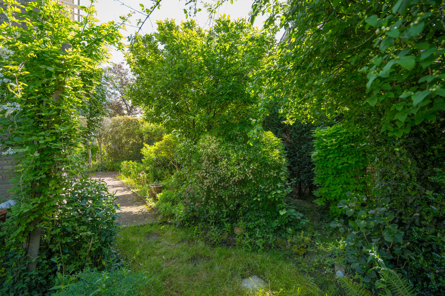 Photo 40 of Prins Hendriklaan 7