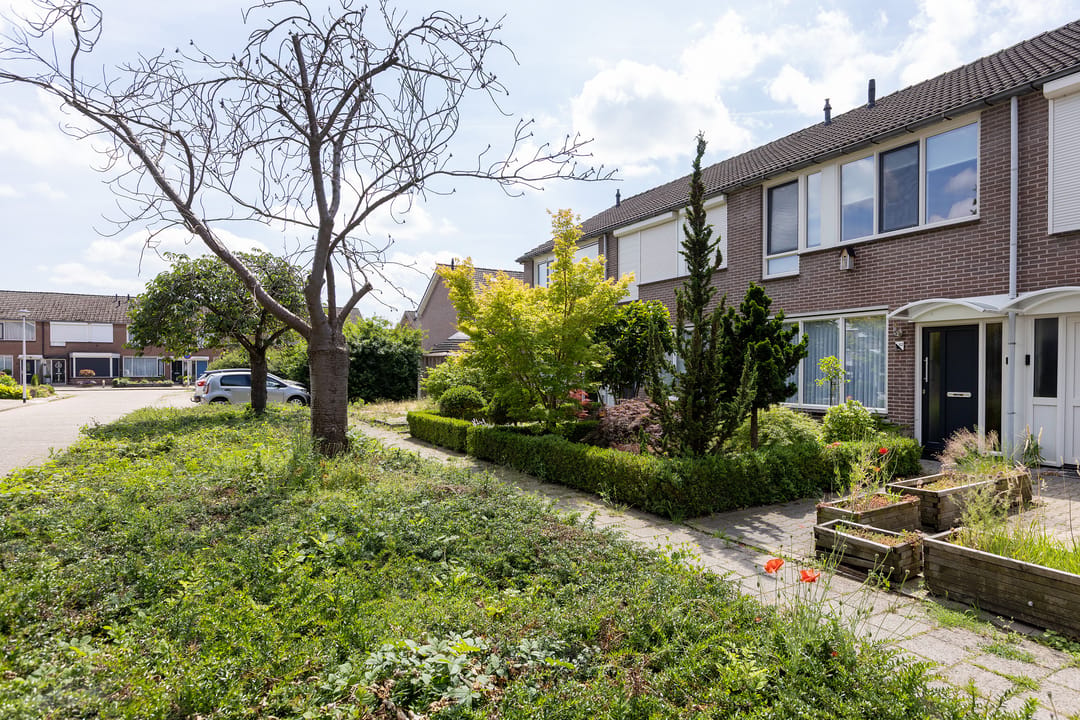 Photo 26 of Schaepmanstraat 52