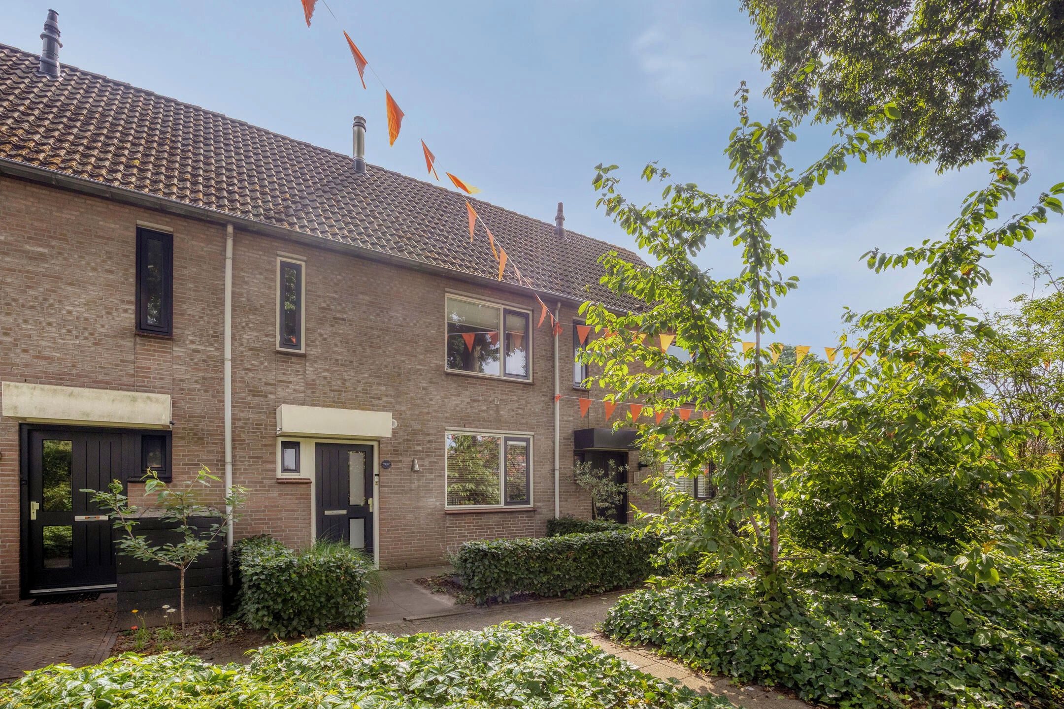 Goudrenet 19
