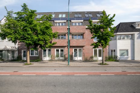 Koninginnelaan thumbnail