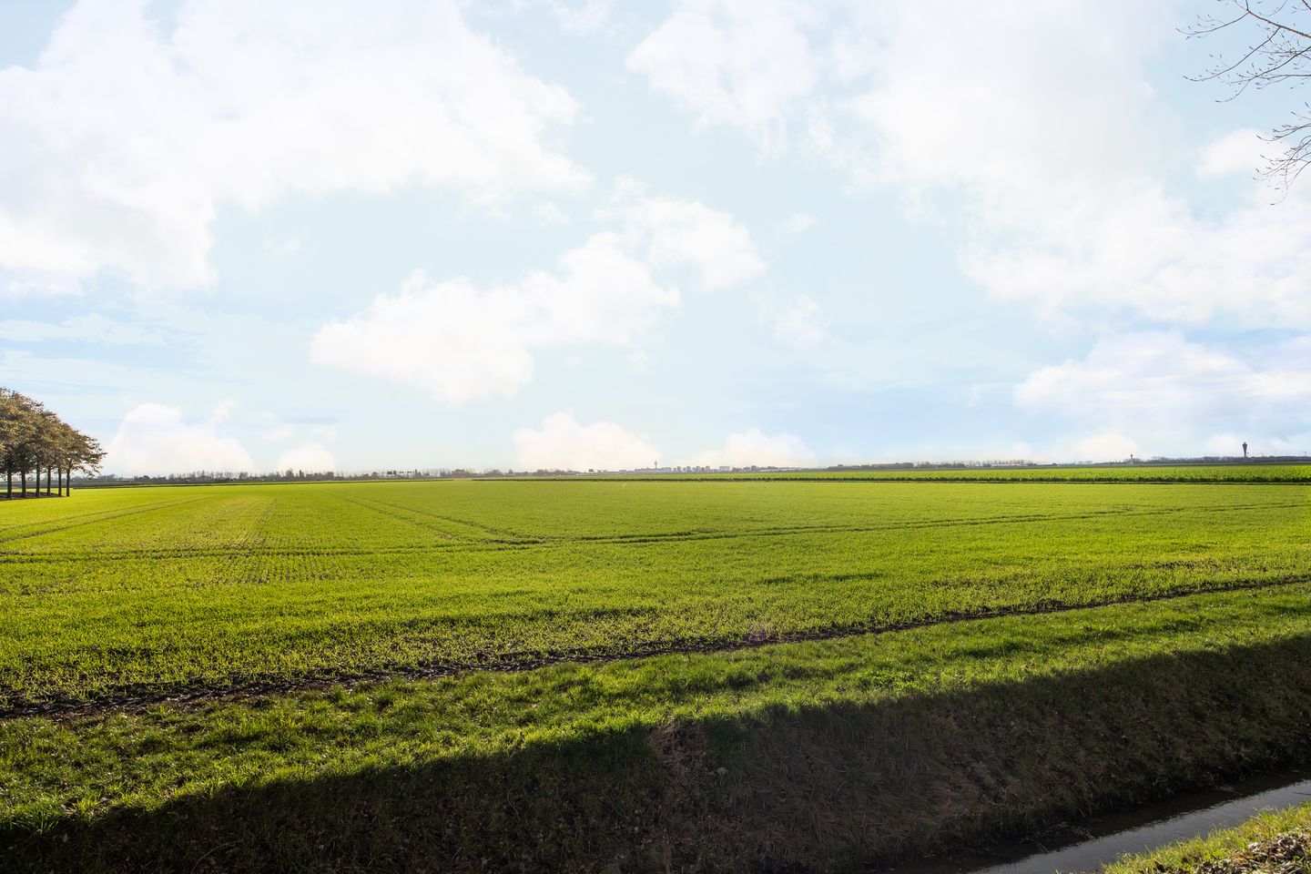View photo 4 of IJweg 505-J