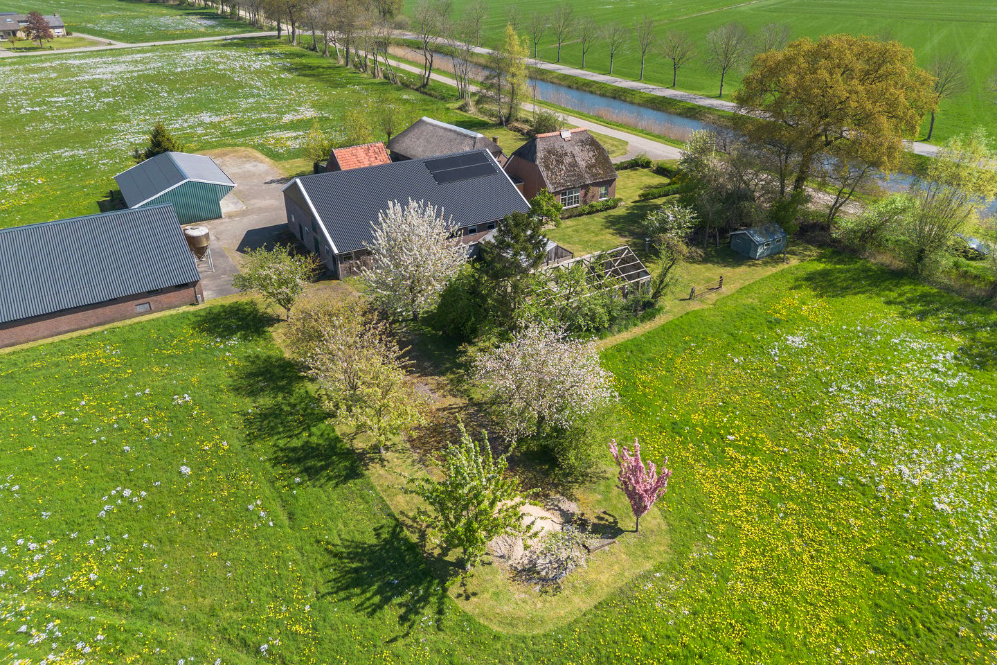 Bekijk foto 2 van Wolthaarsdijk WZ 15